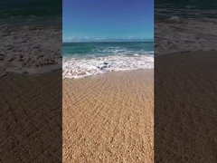 놀이터 게임 영역 전기 DTV 추적 스쿠터 탱크 ETV 스노우모바일 ATV